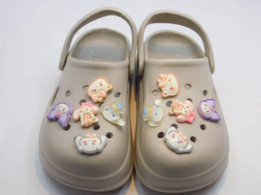 DSCN0972.webp