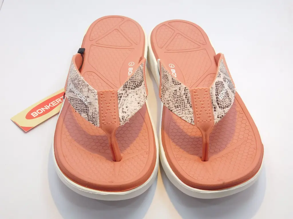 DSCN1509.webp