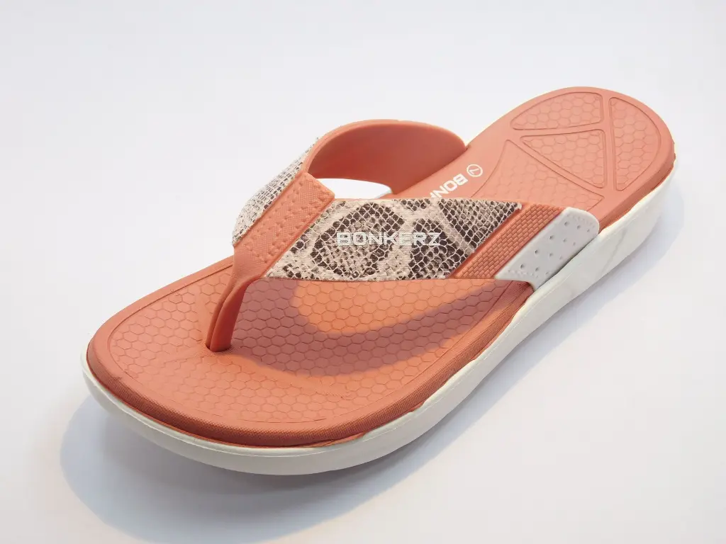 DSCN1510.webp